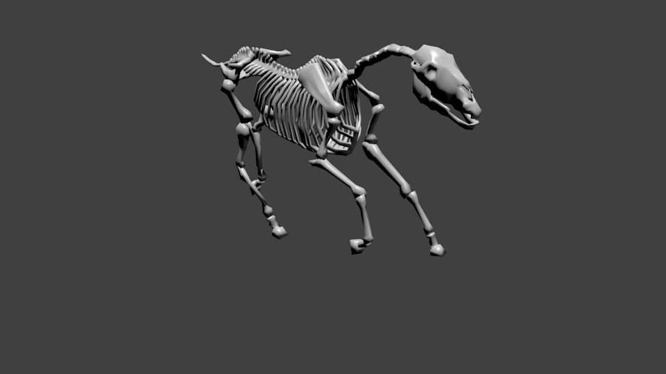 Horse Skeleton, Rigged, UnTextured preview image 1